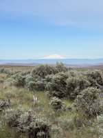 36D757AF-E822-4E81-806B-76E98787B4BF.jpeg