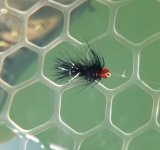 20220526_redglassbeadblkbugger.jpg 20220526_redglassbeadblkbugger.jpg