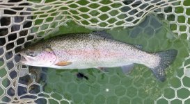 20220526_rainbow.jpg 20220526_rainbow.jpg
