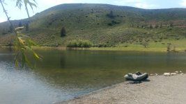 Davis lake.jpg