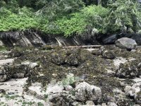 0C39712D-20A3-4C85-91C4-6964C0BC3680.jpeg