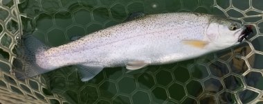 20220526_copyorig.jpg 20220526_copyorig.jpg