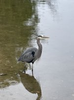 8392C893-4E5C-4724-B217-6782837C388F.jpeg