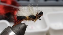 20220526_222437.jpg