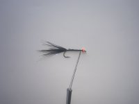 IMG_0180.jpeg