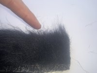 IMG_0181.jpeg