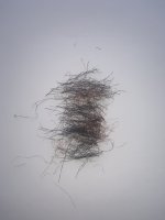 IMG_0182.jpeg