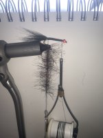 IMG_0185.jpeg