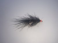 IMG_0188.jpeg