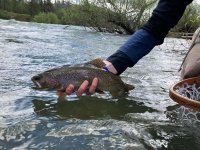 IMG_7182.jpeg