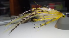 IMG_20220528_143049480.jpg