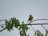 IMG_2636.JPG