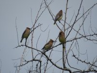IMG_2629.JPG