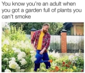 1653831283989.png