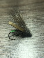 caddis.JPG