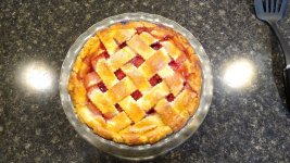 IMG_20220527_165445813.jpg