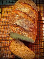 IMG_1106.jpeg