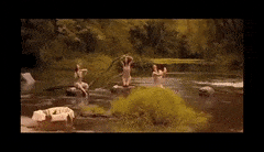 AlienatedGranularChevrotain-max-1mb.gif AlienatedGranularChevrotain-max-1mb.gif