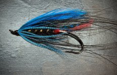 0BC0E1F3-E2B2-4542-8B87-796417E5AD85.jpeg