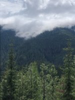 Rolling Fog.jpg Rolling Fog.jpg