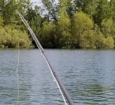 20220602_pull.jpg 20220602_pull.jpg