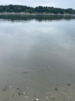 DD0250CF-73BF-45A6-BC00-5AC41B350D67.jpeg