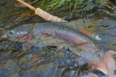 DSC_0938.JPG DSC_0938.JPG