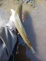 20220530_103909.jpg 20220530_103909.jpg