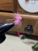 080E7CFF-BD0E-47F6-8655-FAD5D19522E5.jpeg