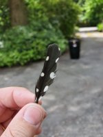 20220604_135433.jpg