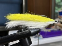 609ABCA4-DE08-40C6-B9C3-F3B131506BE7.jpeg