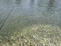 157ED167-0C73-401E-9691-7CC32312E3D1.jpeg