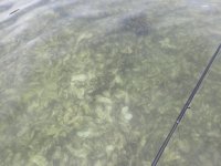 C23F52B3-BC27-45E6-8910-923AC9A3EE77.jpeg