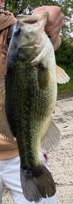 1654404145679.png 1654404145679.png