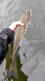 PXL_20220605_145136825_exported_6979.jpg PXL_20220605_145136825_exported_6979.jpg