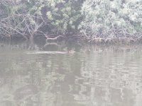 IMG_20220605_073608436.jpg