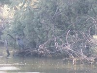 IMG_20220605_081823031.jpg