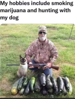 1654606229822.png