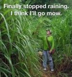 Mowing.jpg