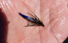 20220607_blueflash.jpg 20220607_blueflash.jpg