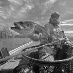IMG_2622bw.jpg