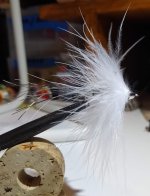 IMG_20220609_204502939.jpg