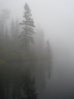 King Co Lake 5.JPG.jpeg