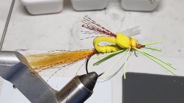 20220610_164038.jpg 20220610_164038.jpg