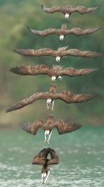 348003D0-1226-48BE-B259-DDC4415DB5F5.jpeg 348003D0-1226-48BE-B259-DDC4415DB5F5.jpeg