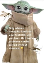 FB_IMG_1654992215745.jpg