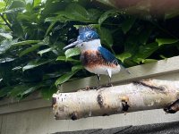 B8791067-A8D4-409F-B146-9C7BC5C56EC2.jpeg