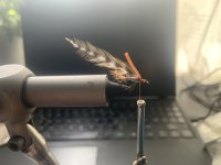 IMG_0307.jpeg