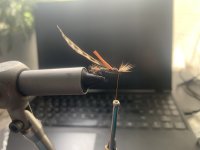 IMG_0309.jpeg