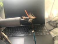 IMG_0310.jpeg